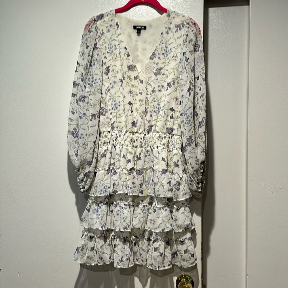 Express dress size large